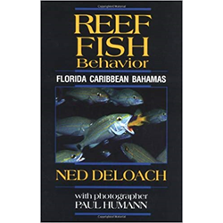 Book, Reef Fish Behavior